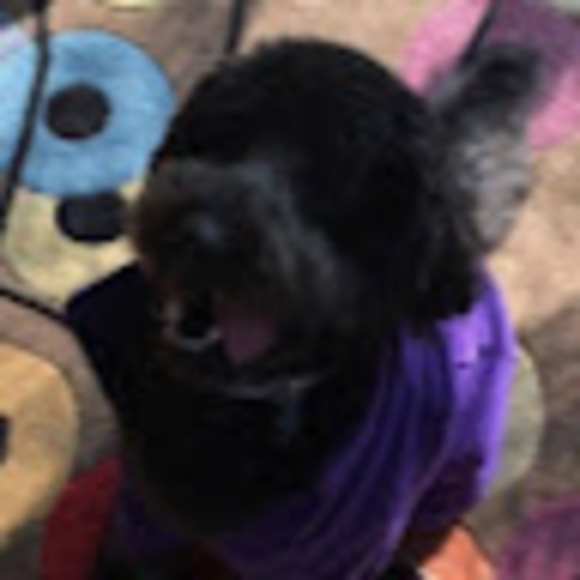 Meet your Posher, William - Picture 1 of 1